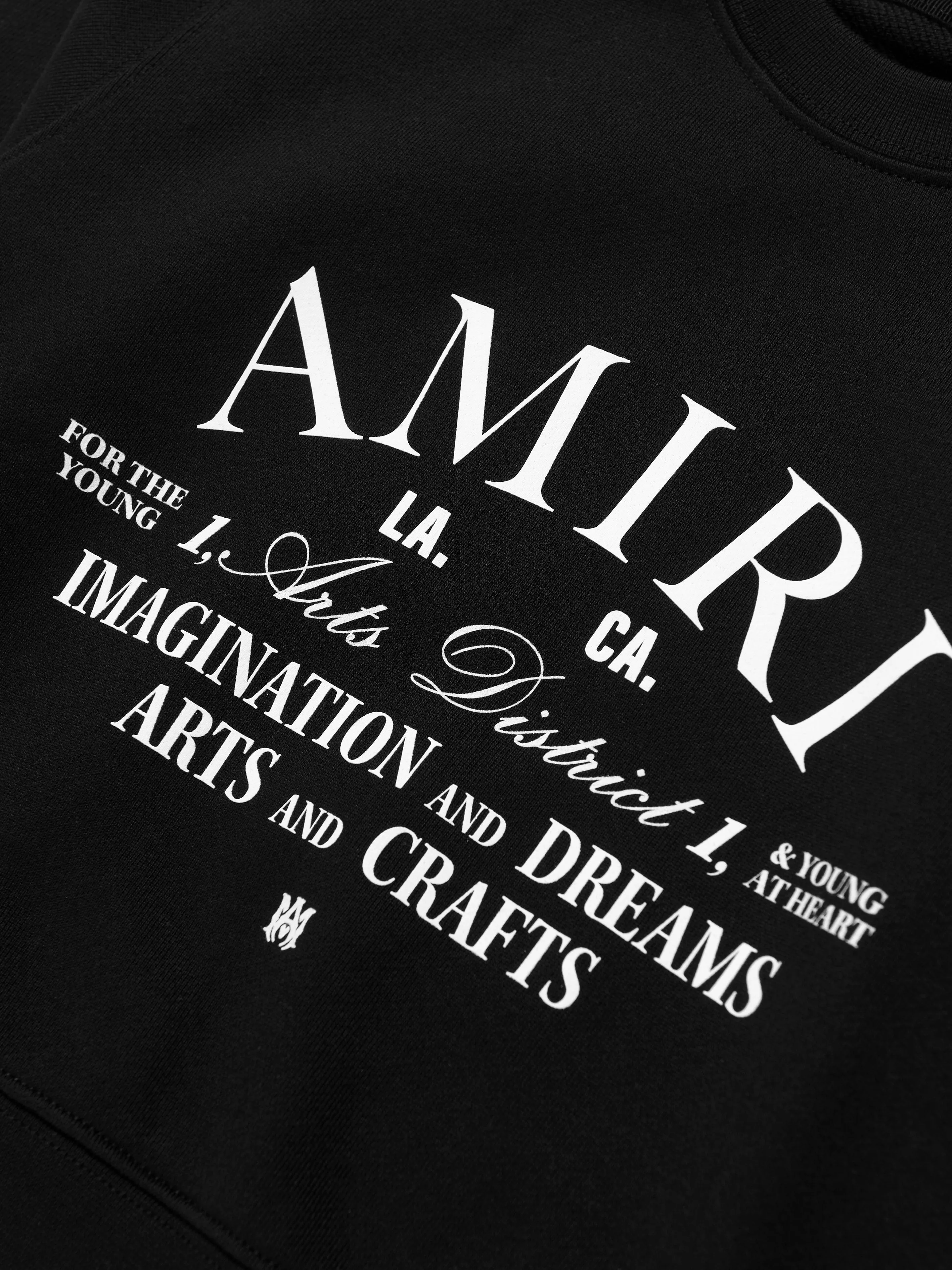 Amiri Kids Arts District Sweatshirt in Black